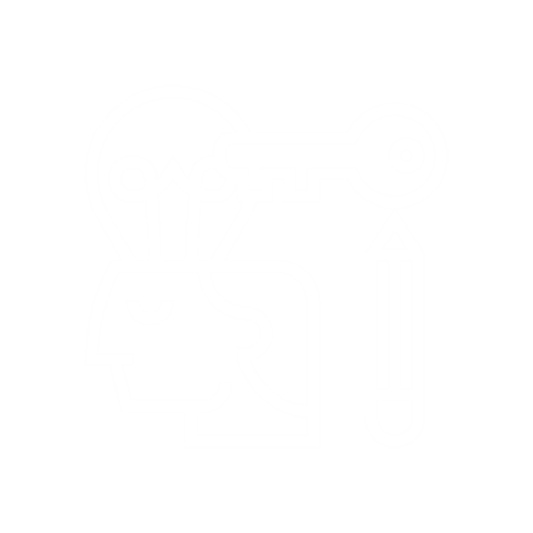 ip-management icon